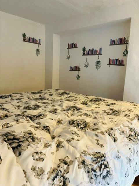 Apartamento Nuovo Signoria Careggi